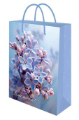 Пакет бумажный ML 22х31см Сирень Миленд