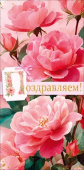 Конверт для денег Поздравляем! ОП
