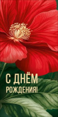 Конверт для денег С днем рождения! МирП