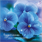 Бирка двойная Чудесного настроения (20шт) Праздник